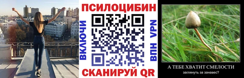 Галлюциногенные грибы Magic Shrooms  Купить закладки  Гремячинск 